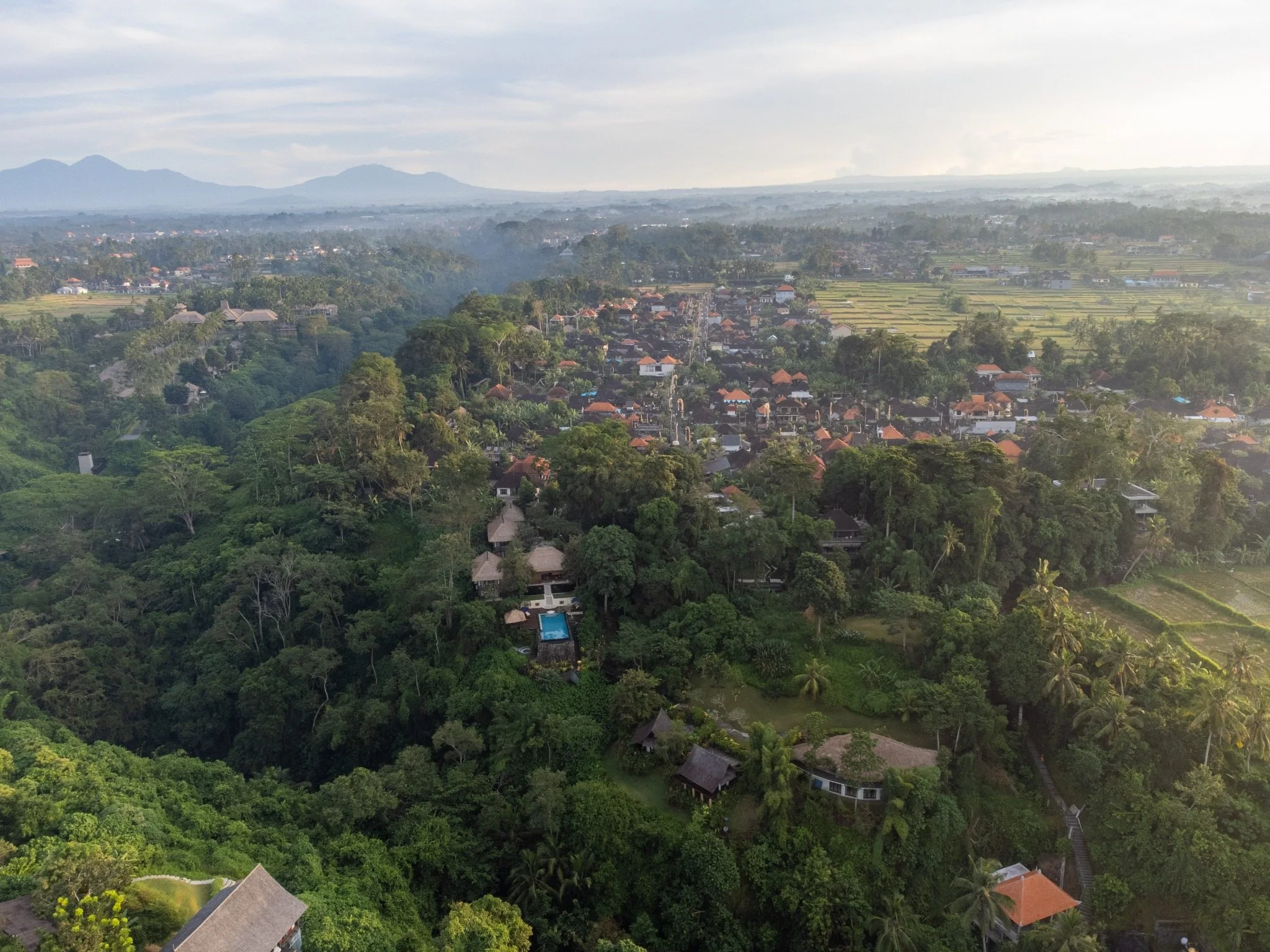 Aerial view of rice fields and village landscape near Ubud
