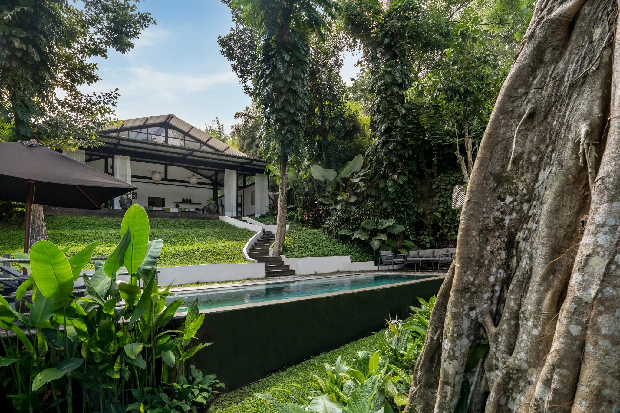 Loft Ithaka architecture framed by mature tropical trees
